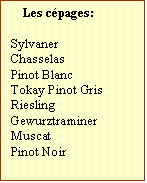 Zone de Texte: Les cpages:  
	
Sylvaner
Chasselas
Pinot Blanc
Tokay Pinot Gris
Riesling
Gewurztraminer
Muscat	
Pinot Noir	
