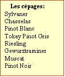 Zone de Texte: Les cpages:  
Sylvaner
Chasselas
Pinot Blanc
Tokay Pinot Gris
Riesling
Gewurztraminer
Muscat	
Pinot Noir	

