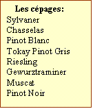 Zone de Texte: Les cpages:  
Sylvaner
Chasselas
Pinot Blanc
Tokay Pinot Gris
Riesling
Gewurztraminer
Muscat	
Pinot Noir	

