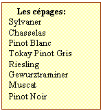 Zone de Texte: Les cépages:  
Sylvaner
Chasselas
Pinot Blanc
Tokay Pinot Gris
Riesling
Gewurztraminer
Muscat	
Pinot Noir	
