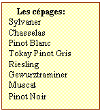 Zone de Texte: Les cpages:  
Sylvaner
Chasselas
Pinot Blanc
Tokay Pinot Gris
Riesling
Gewurztraminer
Muscat	
Pinot Noir	
