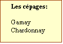 Zone de Texte: Les cpages:  
	
Gamay
Chardonnay
