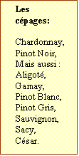 Zone de Texte: Les cpages:  
	
Chardonnay,
Pinot Noir,
Mais aussi :
Aligot,
Gamay,
Pinot Blanc,
Pinot Gris,
Sauvignon,
Sacy,
Csar.
