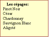 Zone de Texte: Les cpages:  
Pinot Noir
Csar
Chardonnay 
Sauvignon Blanc
Aligot

