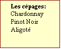 Text Box: Les cpages:  
Chardonnay
Pinot Noir
Aligot
