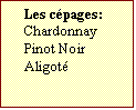 Text Box: Les cpages:  
Chardonnay
Pinot Noir
Aligot
