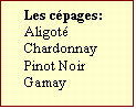 Zone de Texte: Les cpages:  
Aligot
Chardonnay
Pinot Noir Gamay	
