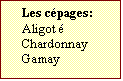 Zone de Texte: Les cpages:  
Aligot	
Chardonnay
Gamay	
