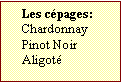 Zone de Texte: Les cpages:  
Chardonnay
Pinot Noir
Aligot	

