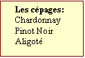 Zone de Texte: Les cpages:  
Chardonnay
Pinot Noir
Aligot	

