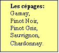 Zone de Texte: Les cpages:  
Gamay,
Pinot Noir,
Pinot Gris,
Sauvignon,
Chardonnay.	
