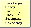 Zone de Texte: Les cpages:  
Gamay,
Pinot Noir,
Pinot Gris,
Sauvignon,
Chardonnay.	
