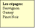 Zone de Texte: Les cpages:
Sauvignon
Gamay
Pinot Noir

