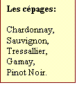Zone de Texte: Les cpages:  

Chardonnay,
Sauvignon,
Tressallier,
Gamay,
Pinot Noir.

