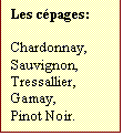 Zone de Texte: Les cpages:  

Chardonnay,
Sauvignon,
Tressallier,
Gamay,
Pinot Noir.

