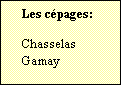 Zone de Texte: Les cpages:  

Chasselas
Gamay	
