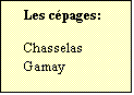 Zone de Texte: Les cpages:  

Chasselas
Gamay	
