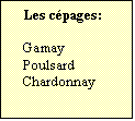 Zone de Texte: Les cépages:  

Gamay
Poulsard
Chardonnay
	
